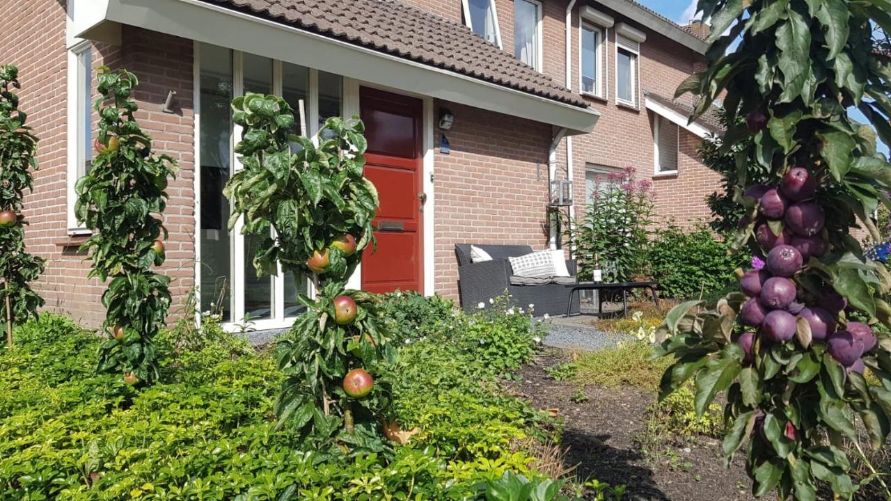 Bed and Breakfast Logeren Bij Grea Zwartsluis Esterno foto